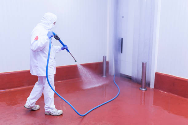 Best House Exterior Washing  in St Francisville, LA